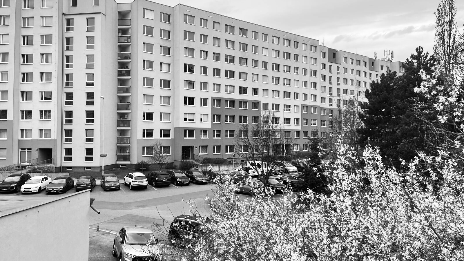 Nemovitosti img 0864